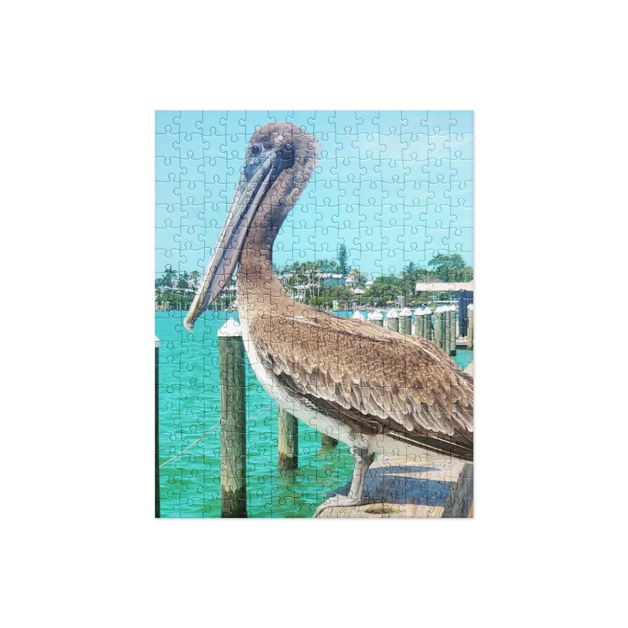 Brown Pelican at the Dock in Florida Jigsaw Puzzle
