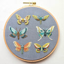 Moth Sampler Embroidery Kit - Handcraft Harbor